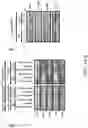 Fig. 26 - METHOD FOR TREATING AND/OR PREVENTING REGNASE-1-RELATED DISEASE