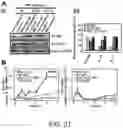 Fig. 45 - METHOD FOR TREATING AND/OR PREVENTING REGNASE-1-RELATED DISEASE