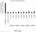Fig. 61 - METHOD FOR TREATING AND/OR PREVENTING REGNASE-1-RELATED DISEASE