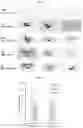 Fig. 06 - GLUCOCEREBROSIDASE POLYPEPTIDES