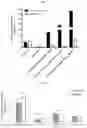 Fig. 07 - GLUCOCEREBROSIDASE POLYPEPTIDES