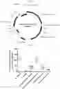 Fig. 13 - GLUCOCEREBROSIDASE POLYPEPTIDES