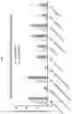 Fig. 19 - GLUCOCEREBROSIDASE POLYPEPTIDES