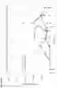 Fig. 10 - Safe and effective beta-lactamase dosing for microbiome protection