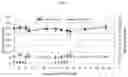 Fig. 03 - Compositions and methods for treatment of homocystinuria