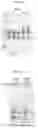 Fig. 07 - Compositions and methods for treatment of homocystinuria