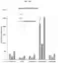 Fig. 41 - Compositions and methods for treatment of homocystinuria