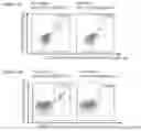 Fig. 26 - Peptides and combination of peptides for use in immunotherapy against prostate cancer and other cancers