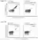 Fig. 27 - Peptides and combination of peptides for use in immunotherapy against prostate cancer and other cancers