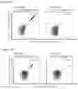 Fig. 29 - Peptides and combination of peptides for use in immunotherapy against prostate cancer and other cancers