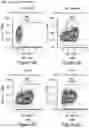 Fig. 04 - MESOTHELIN CARS AND USES THEREOF