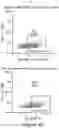 Fig. 08 - MESOTHELIN CARS AND USES THEREOF
