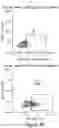 Fig. 09 - MESOTHELIN CARS AND USES THEREOF