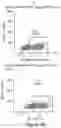 Fig. 11 - MESOTHELIN CARS AND USES THEREOF