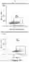 Fig. 12 - MESOTHELIN CARS AND USES THEREOF