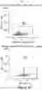Fig. 13 - MESOTHELIN CARS AND USES THEREOF