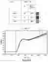 Fig. 23 - MESOTHELIN CARS AND USES THEREOF