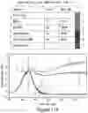 Fig. 44 - MESOTHELIN CARS AND USES THEREOF