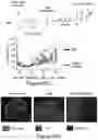 Fig. 54 - MESOTHELIN CARS AND USES THEREOF