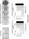 Fig. 61 - MESOTHELIN CARS AND USES THEREOF