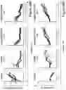 Fig. 77 - MESOTHELIN CARS AND USES THEREOF