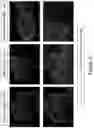 Fig. 78 - MESOTHELIN CARS AND USES THEREOF