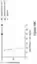 Fig. 81 - MESOTHELIN CARS AND USES THEREOF