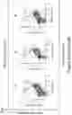 Fig. 91 - MESOTHELIN CARS AND USES THEREOF