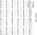Fig. 07 - CHIMERIC RSV AND HMPV F PROTEINS, IMMUNOGENIC COMPOSITIONS, AND METHODS OF USE