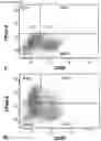 Fig. 09 - Paramyxovirus and uses thereof