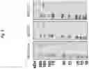 Fig. 10 - Corona virus vaccine formulations