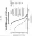 Fig. 13 - Corona virus vaccine formulations
