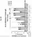 Fig. 15 - Corona virus vaccine formulations
