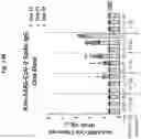 Fig. 16 - Corona virus vaccine formulations