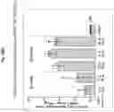Fig. 72 - Corona virus vaccine formulations