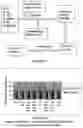 Fig. 02 - GRANULATED ANTHELMINTIC PREPARATIONS AND DELIVERY SYSTEMS