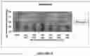 Fig. 06 - GRANULATED ANTHELMINTIC PREPARATIONS AND DELIVERY SYSTEMS