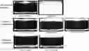 Fig. 01 - COMPOSITIONS AND METHODS FOR STABILIZING PROTEIN-CONTAINING FORMULATIONS