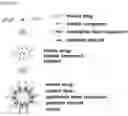 Fig. 02 - PHARMACEUTICAL COMPOSITION CONTAINING ANIONIC DRUG, AND PREPARATION METHOD THEREFOR