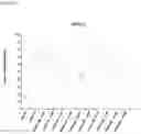 Fig. 12 - LINKERS