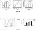 Fig. 15 - COMPOSITION FOR PREVENTING OR TREATING ATOPIC DERMATITIS COMPRISING SKIN-PENETRATING NUCLEIC ACID  COMPLEX AS EFFECTIVE COMPONENT