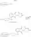 Fig. 37 - Amide-based proteolysis modulators of B-rapidly accelerated fibrosarcoma (BRAF) and associated uses