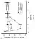 Fig. 08 - Zwitterionic polymer-insulin compositions and related methods