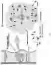 Fig. 11 - Zwitterionic polymer-insulin compositions and related methods
