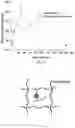 Fig. 16 - Zwitterionic polymer-insulin compositions and related methods