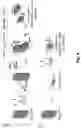 Fig. 05 - COMPOSITIONS AND METHODS FOR DISASSEMBLING AMYLOID FIBRILS