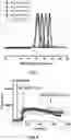 Fig. 08 - COMPOSITIONS AND METHODS FOR DISASSEMBLING AMYLOID FIBRILS