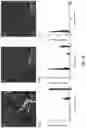 Fig. 13 - COMPOSITIONS AND METHODS FOR DISASSEMBLING AMYLOID FIBRILS