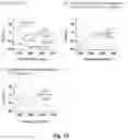 Fig. 15 - COMPOSITIONS AND METHODS FOR DISASSEMBLING AMYLOID FIBRILS