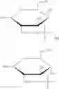 Fig. 05 - METHOD OF PREPARING PEGYLATED BIOMOLECULES HAVING CONTROLLABLE BINDING SITES
